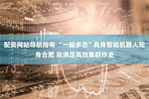 配资网站导航指南 “一脑多态”具身智能机器人现身合肥 能满足高效集群作业